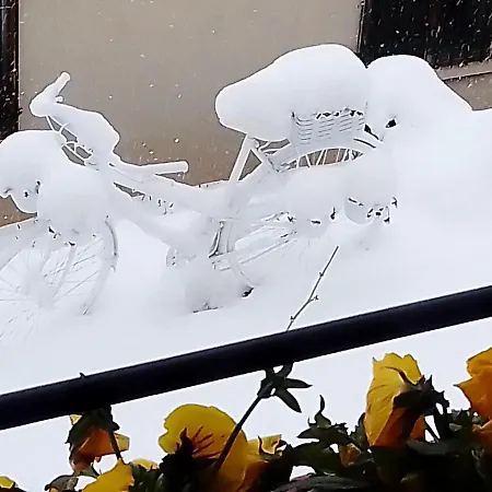 Lagar Del Palomar Semesterbostad *