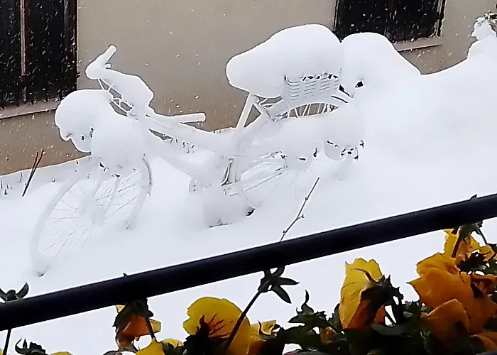 Lagar Del Palomar Semesterbostad *